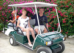 20090205_1_LOCALbotanicparkgolfcartSTORY