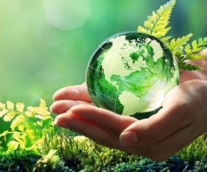 hands-holding-globe-glass-in-green-forest-environment-concept-element-picture-id1129110491