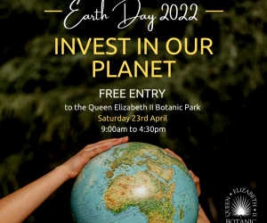 qeiibp-earthday-free-entry-instagram-post_250322_v2